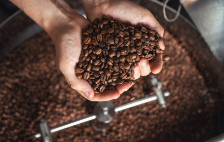 Stronghold - Kuris skrudintuvas geriausiai tinka skrudinti kavą iki 5 kg?